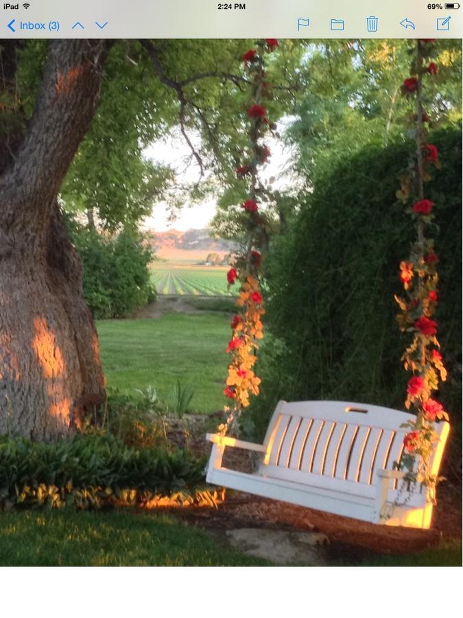 Barn Anew Bed And Breakfast スコッツブラフ エクステリア 写真